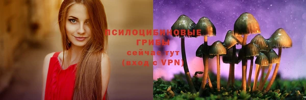 ALPHA PVP Ладушкин
