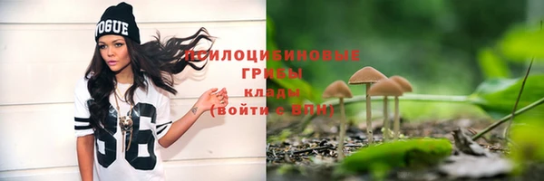 а пвп мука Лабытнанги