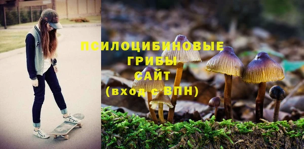 а пвп мука Лабытнанги